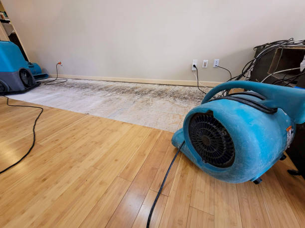 Professional Burst Pipe Water Damage technician working in Rifle, CO